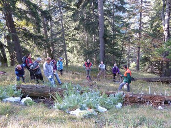 Natur und Umwelt - Aktion Schutzwald - Oktober 2015