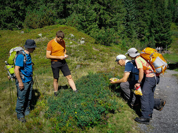 Tourenbericht Wandern - Fotostrecke: Wormser H&ouml;henweg