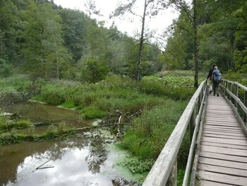 Gruppe Wandern - Gemeinsam wandern