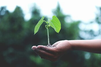Natur + Umwelt - Kennenlerntreffen: Werde Teil der AG Klima