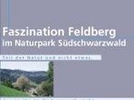 Faszination Feldberg (03.2015)