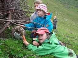 Murmler: Die große DAV Familien Wanderung 4. - 8.8.2010