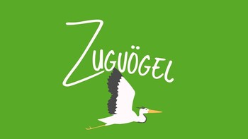 Offene Jugendgruppe  - Zugv&ouml;gel 