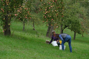  - Streuobstinitiative