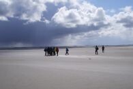 Natur und Umwelt - Nationalpark Schleswig-Holsteinisches Wattenmeer - April 2017