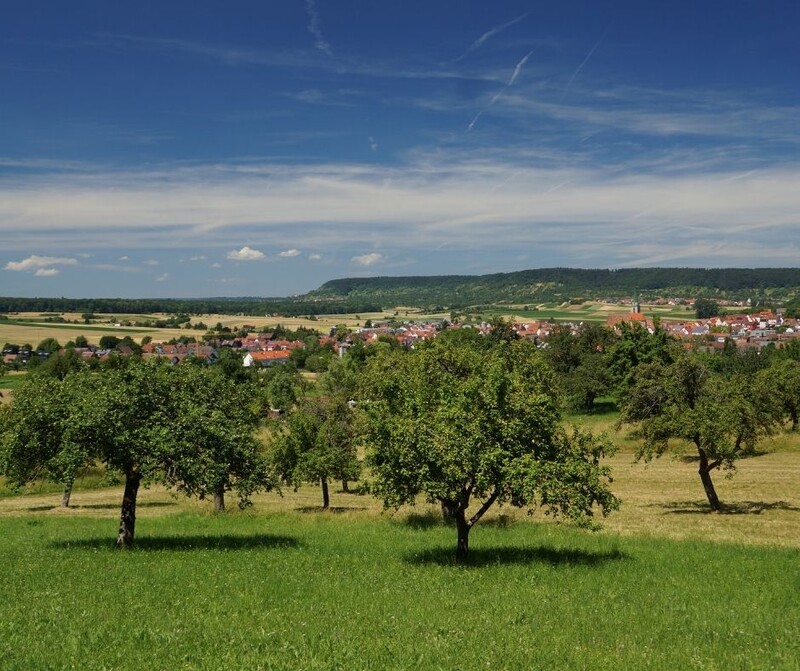 Streuobstwiesen Projekt