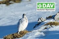 Natur und Umwelt - Brosch&uuml;ren - Tierspuren erkennen 