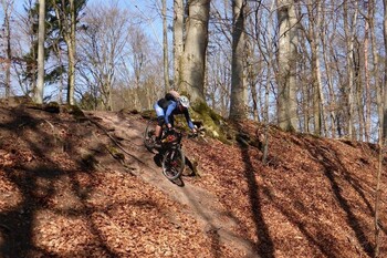 Mit Bus und Bahn in die Berge - Tourenvorschlag: Mit der Bahn zum Mountainbiken nach Baiersbronn