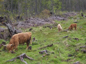 Natur und Umwelt - Treffen der am Naturschutz Interessierten im Nationalpark Hohe Tauern - Mai 2013