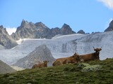 Vergessene Bergwelt Graubündens