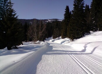 Gruppe Nordic - Langlauf-Treff Signal Gruppe