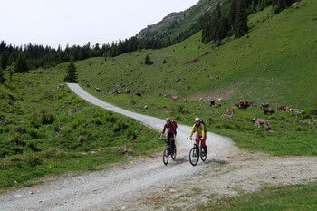 Mit Bus und Bahn in die Berge - Tourenvorschlag: Mit dem Mountainbike ins Garneratal