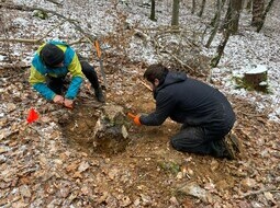 König Wilhelm Trail 4