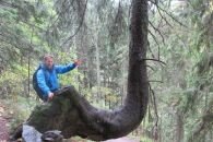 Natur und Umwelt - Naturkundliche Wandertour im Feldberggebiet - Okt. 2016