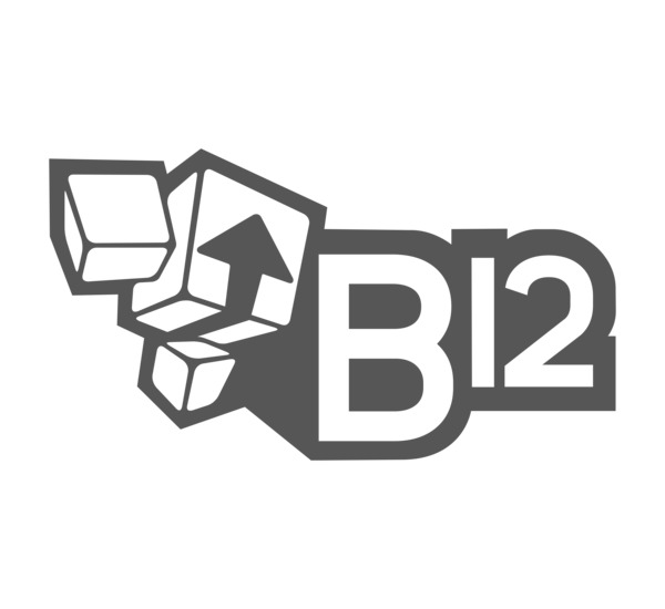 b12