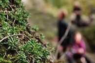 Veranstaltung Natur und Umwelt - 26.11.2016 - Kletterforum BW