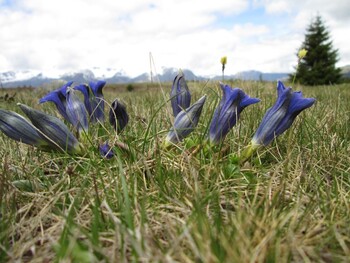 Natur und Umwelt - H&auml;tten Sie es gewusst? 