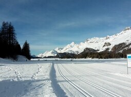 Loipen in Sils Richtung Maloja