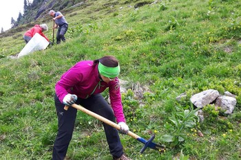 Natur und Umwelt - Fr&uuml;hjahrsputz auf den Alpwiesen im Garnera