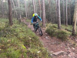 MTB Pfalz 2024 -3