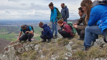 Tourenbericht - Felskopfflora der Schw&auml;bischen Alb - warum ist sie so sch&uuml;tzenswert? 