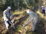 Natur und Umwelt: Erfolgreiche Landschaftspflege-Aktion 2014 im Schönbuch