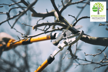 Natur+Umwelt - Termine Streuobstinitiative 2025