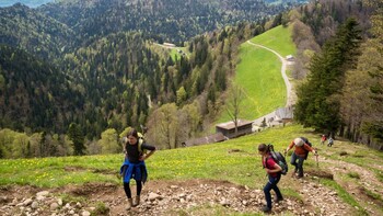 Tourenbericht  - Einlaufen im Fr&uuml;hjahr: Auf den h&ouml;chsten Gipfel im Kanton Z&uuml;rich
