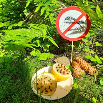 Ideen f&uuml;r Unterwegs - M&uuml;ckenschreck