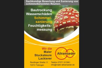 Matthias Allramseder - Sachkundige Bewertung und Sanierung von schimmelbelasteten R&auml;umen