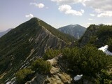 Brecherspitze