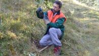 Natur und Umwelt - Eins&auml;tze in der Region und in den Alpen