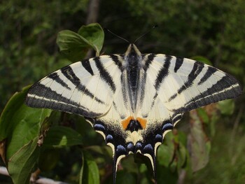 Natur und Umwelt - 30.04. - 08.05.2016 NaturErlebnisWoche